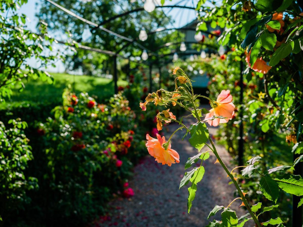 Schloss Freudenfels Eschenz ภายนอก รูปภาพ